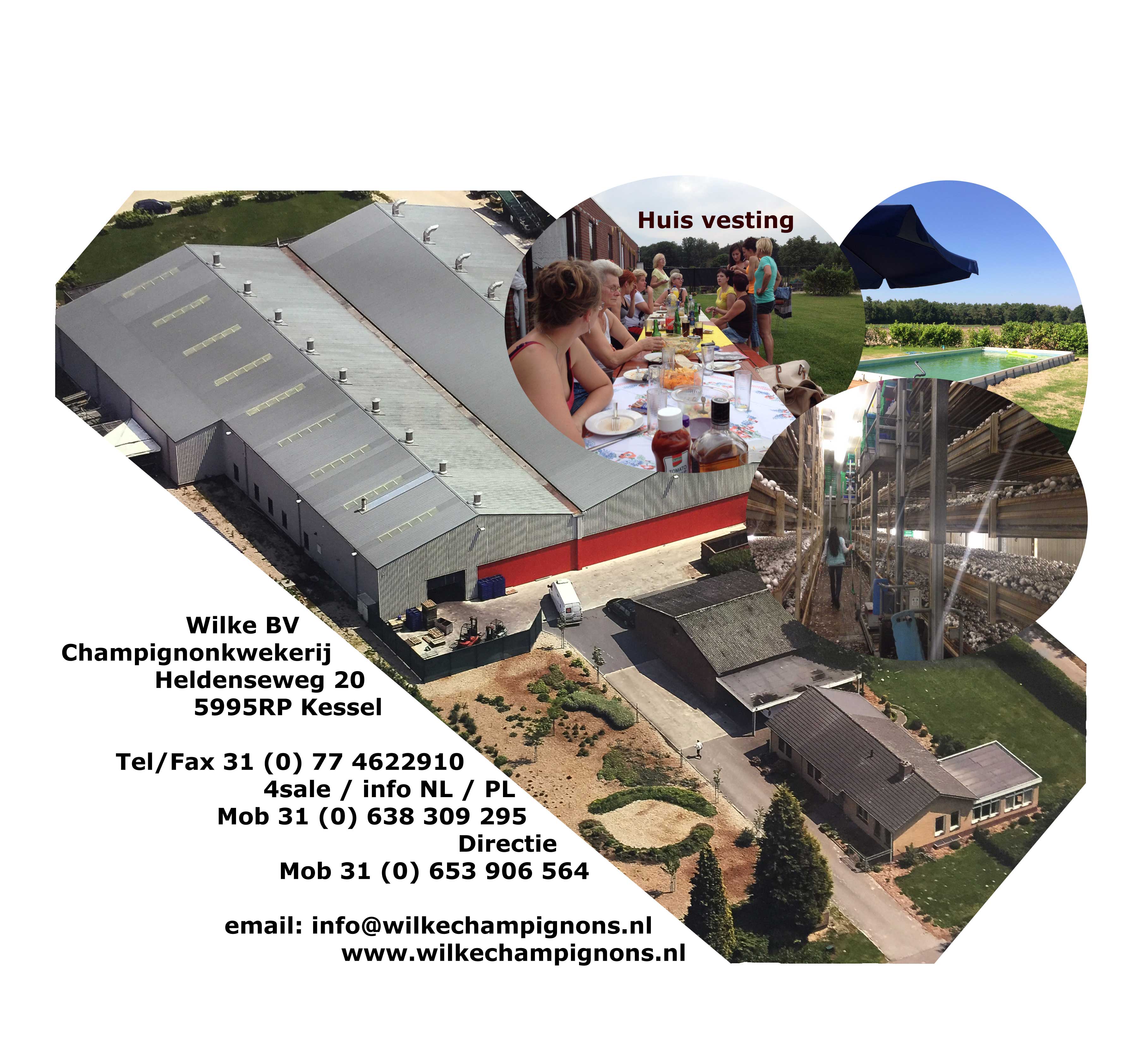 website